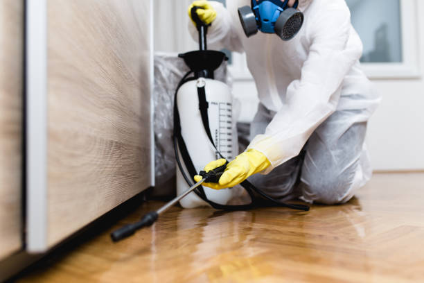 Best Pest Control for Restaurants  in Morgantown, KY