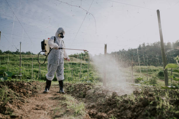 Best Best Pest Control Companies  in Morgantown, KY