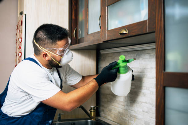 Best Wasp Removal Services  in Morgantown, KY