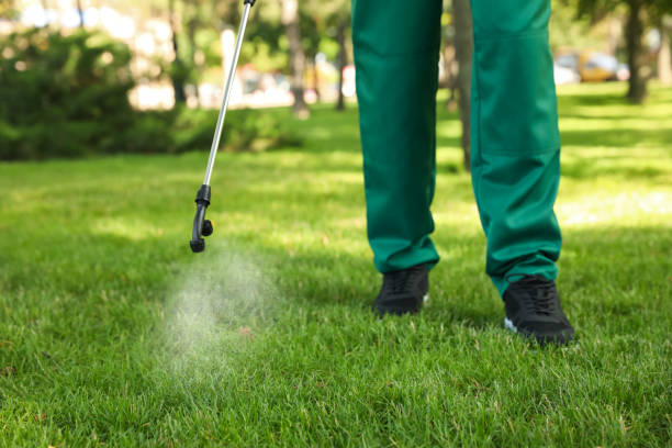 Professional Pest Control in Morgantown, KY