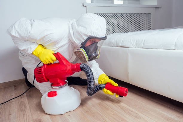 Best Insect Control  in Morgantown, KY