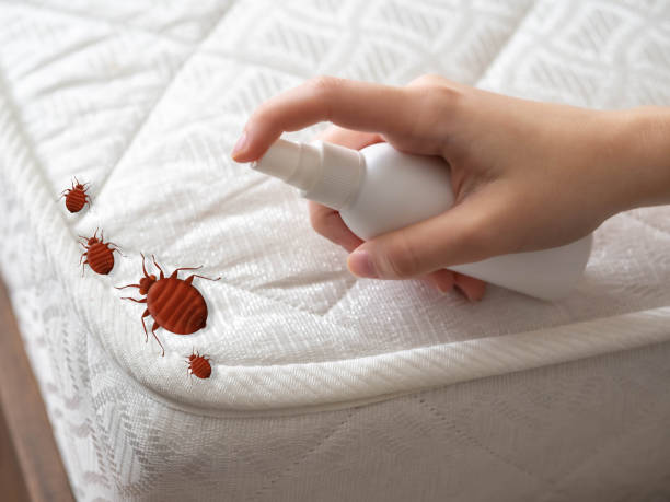 Best Pest Control Near Me in Morgantown, KY