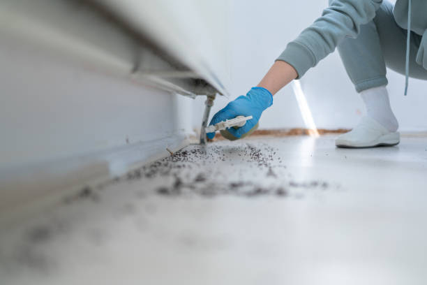 Best Residential Pest Control  in Morgantown, KY